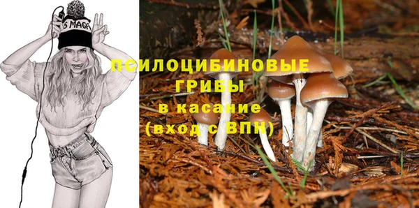 стаф Алзамай