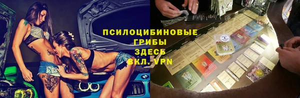 не бодяженный Арсеньев