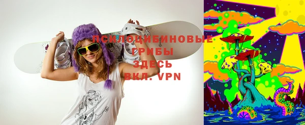 не бодяженный Арсеньев