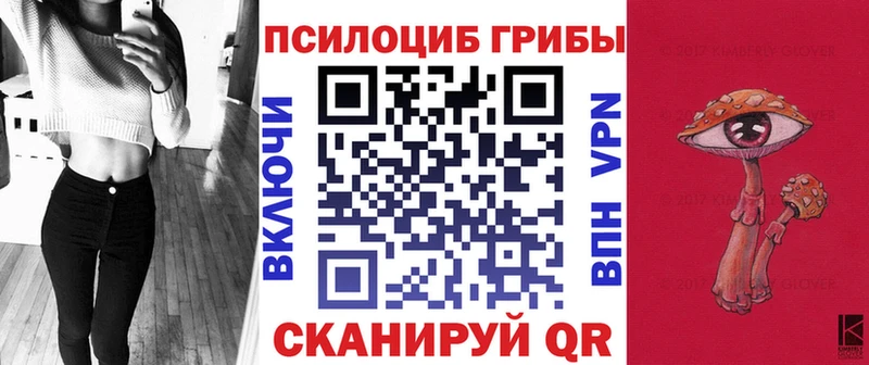 Псилоцибиновые грибы MAGIC MUSHROOMS продажа наркотиков Сыктывкар